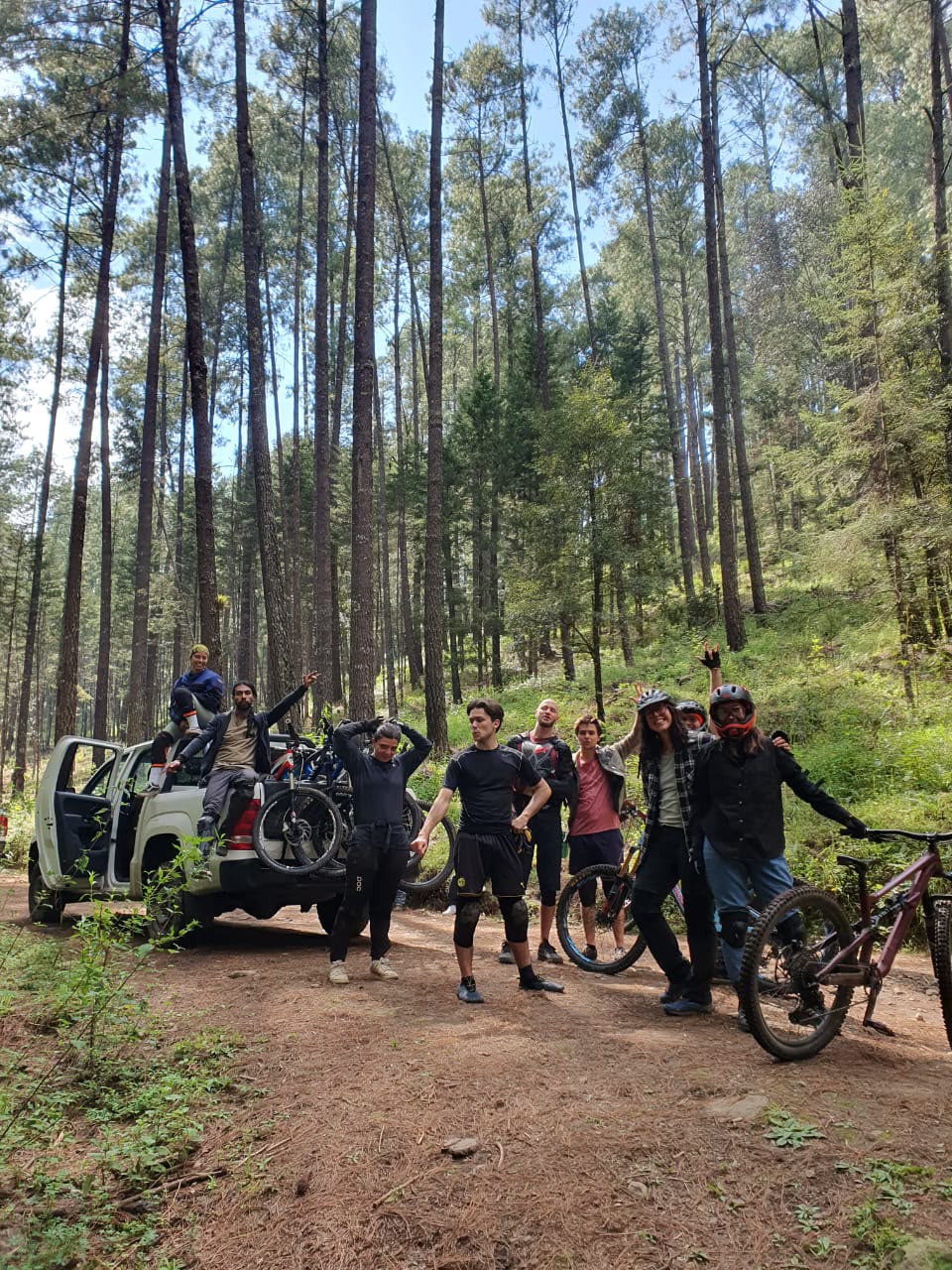 El Bosque — RUTAS ENTRE PINOS